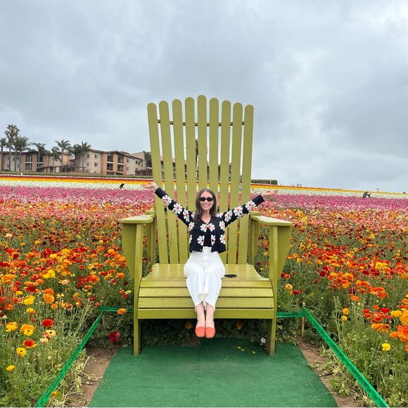 Hi, I’m Shannon! - Picture 1 of 1